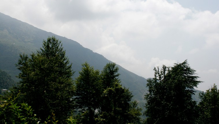 nature1